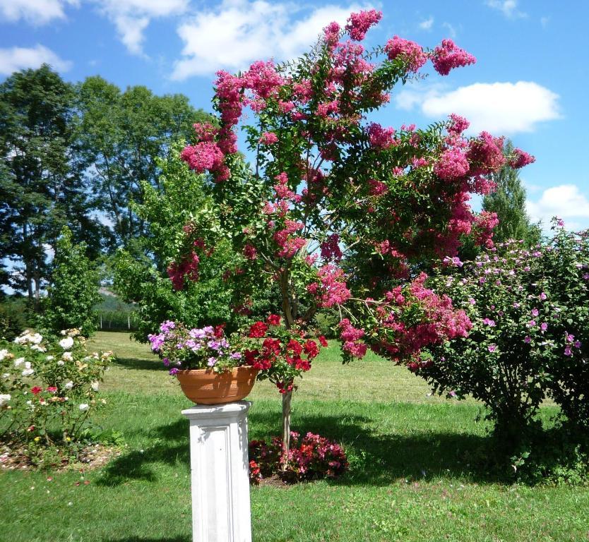 Domaine Vega Bed and Breakfast Saint-Arroman  Exteriör bild